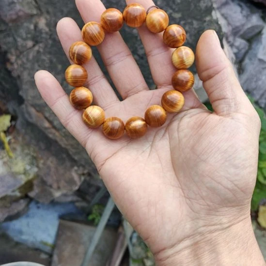 1.5龙胆闪电太行崖柏