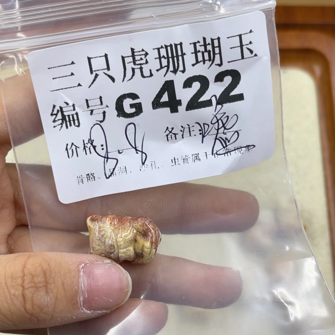 F***s硅化珊瑚（珊瑚玉）未镶嵌h