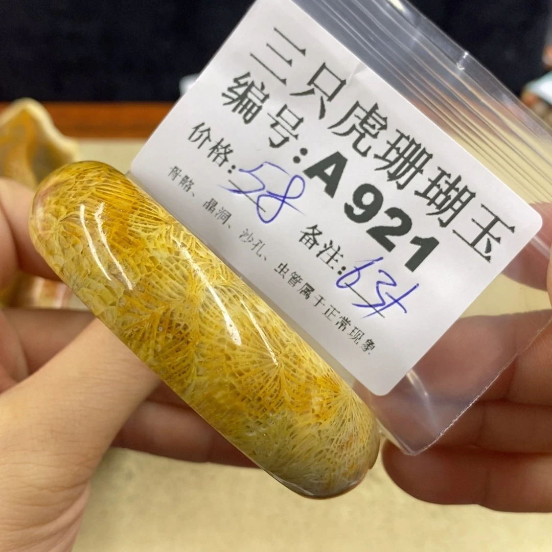 硅化珊瑚（珊瑚玉）1未镶嵌果