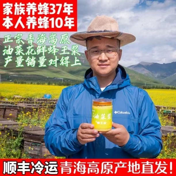 勤蜂漫野【青海产地直发】鲜蜂王浆高原油菜花蜜源全程冷链锁鲜