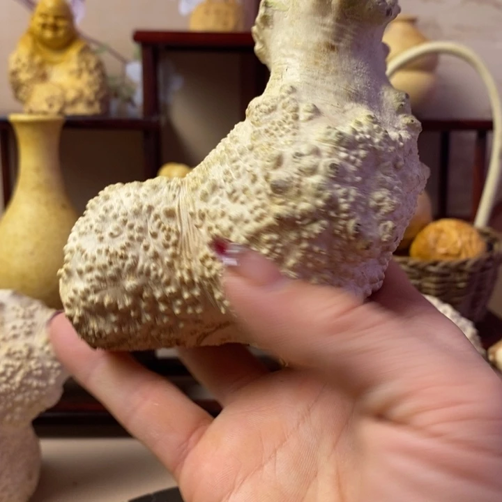 香榧木j****3黄杨木手把件