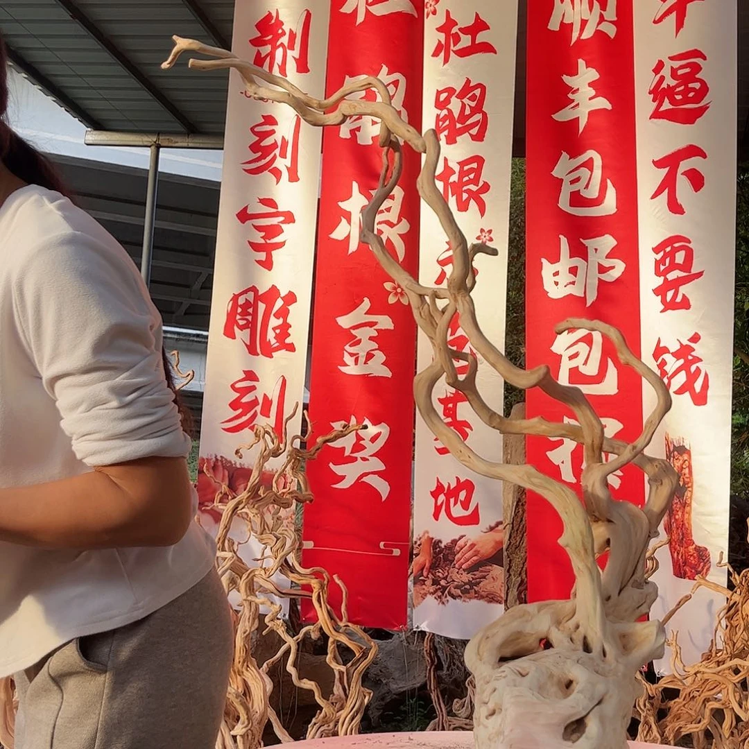 晨***门木208家里来了，积极了