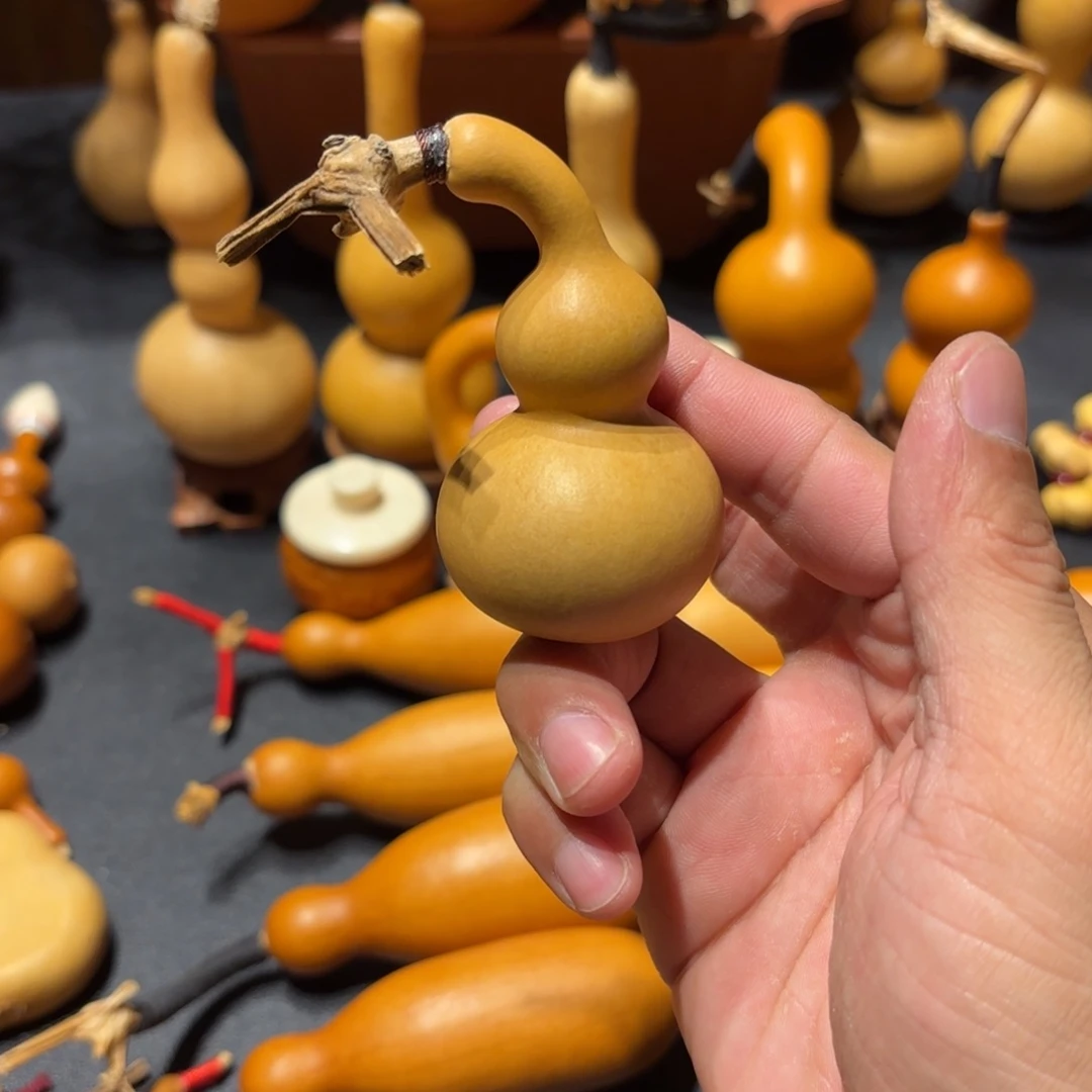 康***粒葫芦888888888888888