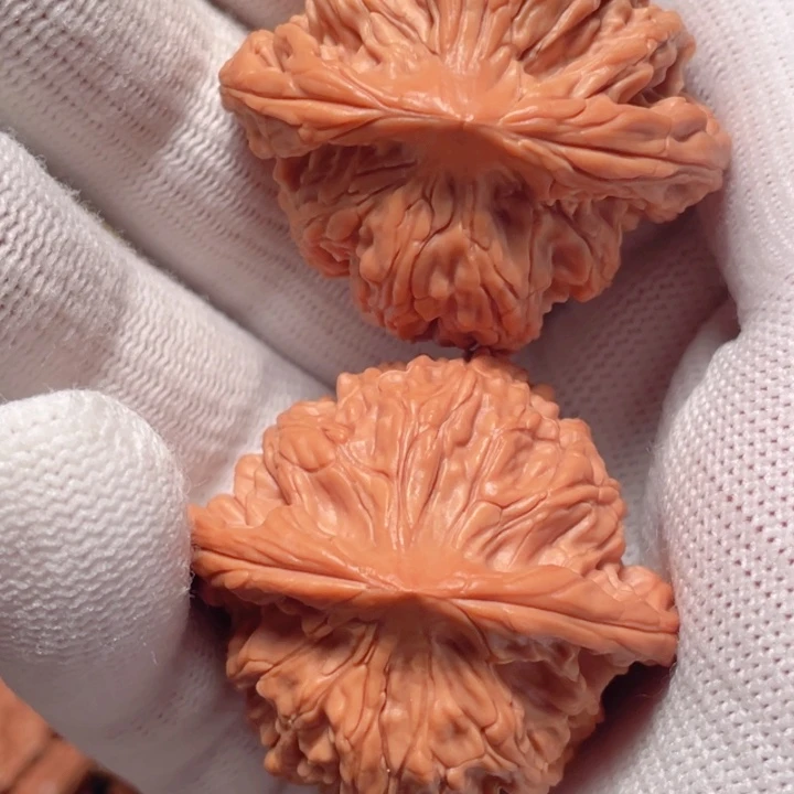 文玩核桃把件蓟县望月