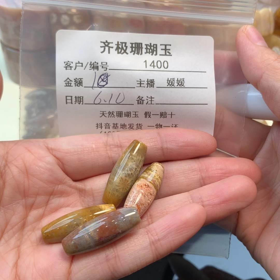 硅化珊瑚（珊瑚玉）未镶嵌颈饰哇***?