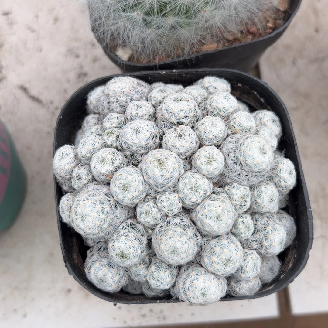 如***官零零落落 零零落落