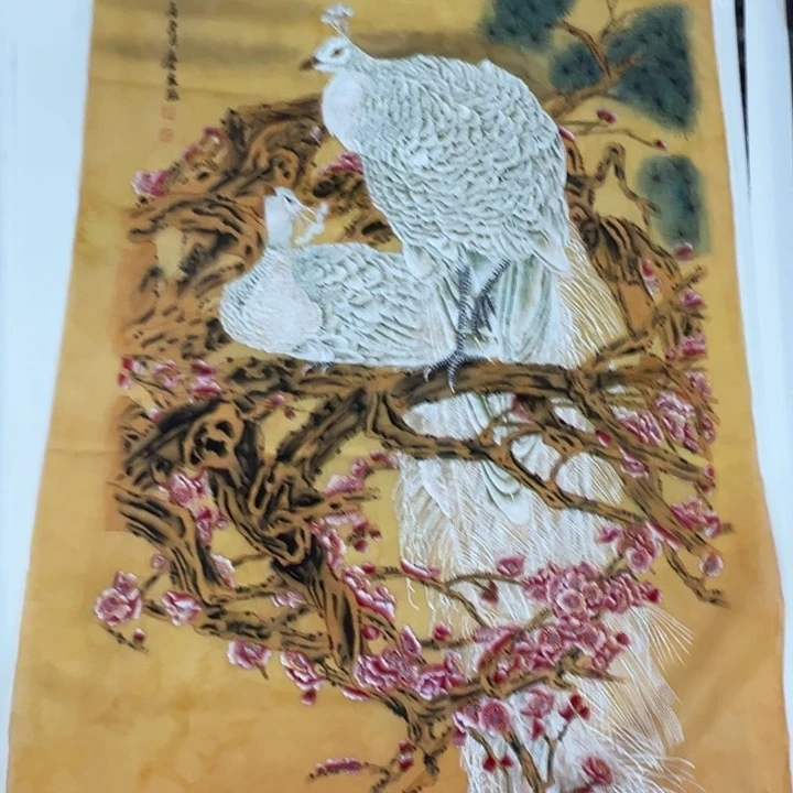 竖款用****米晚上好呀！惊喜连连