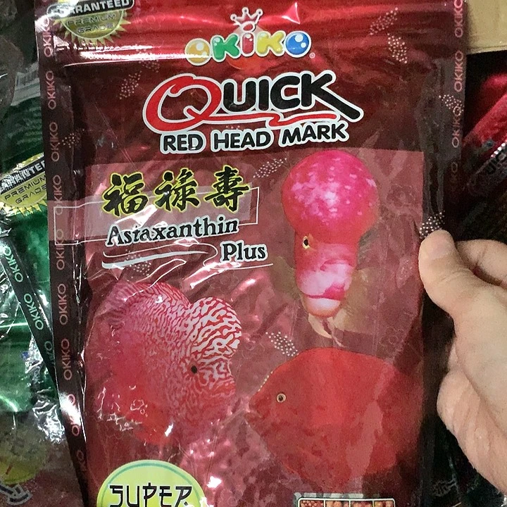 罗汉鱼增色500克8888888888888888