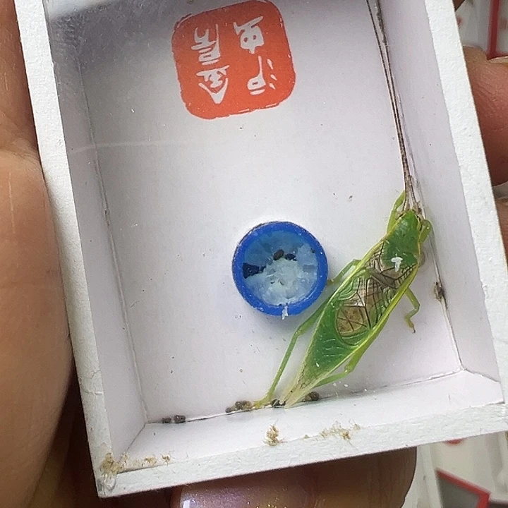 朝***拾哈哈哈哈哈哈哈哈哈哈