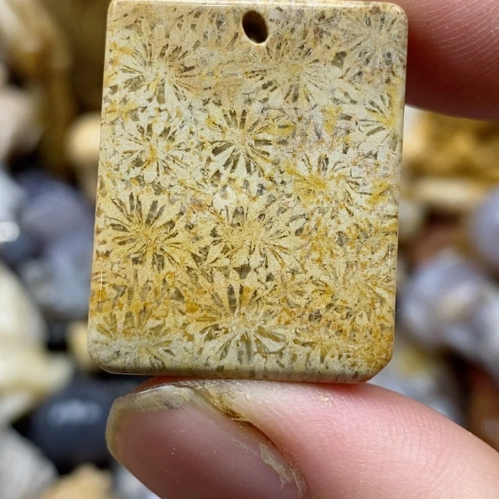 颈饰未镶嵌硅化珊瑚（珊瑚玉）小