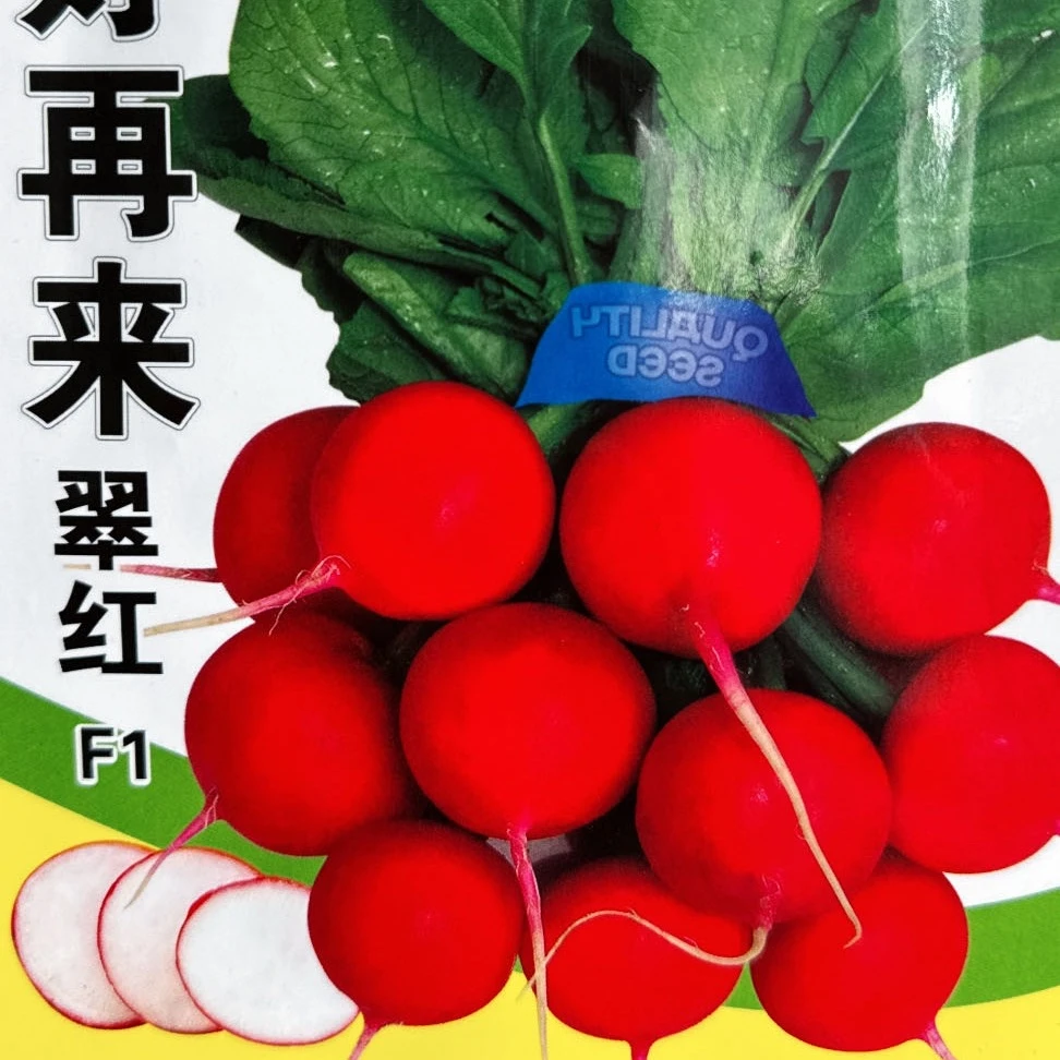 jj好再来翠红丁今年新种今年新种