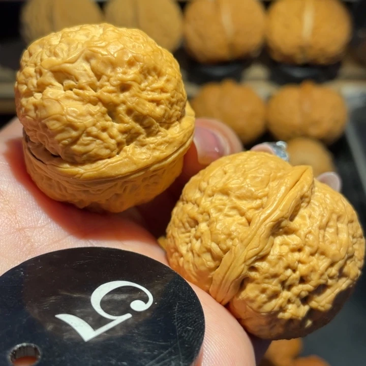 粗筋帝王核桃尺寸39