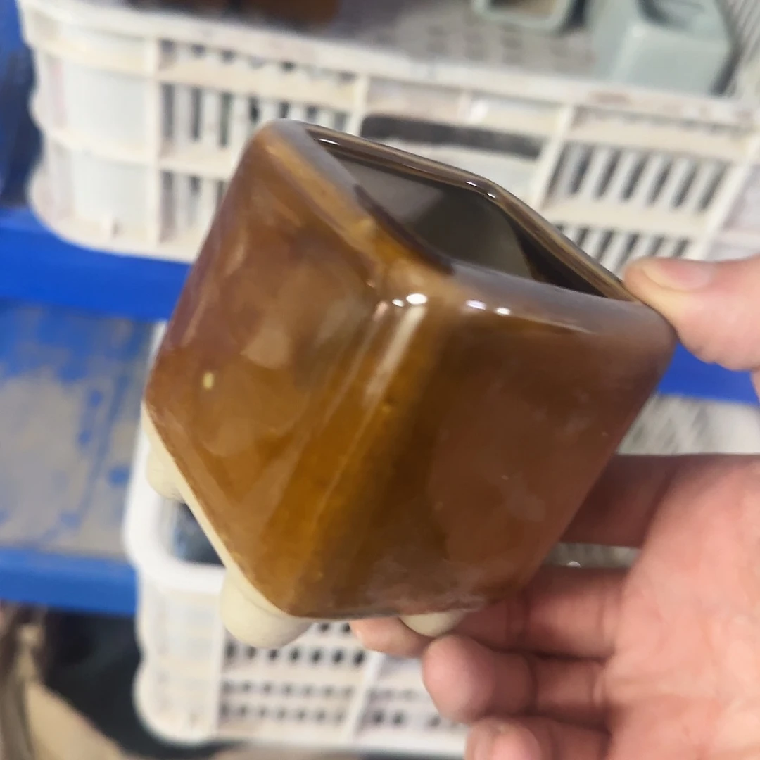 福利局绿植多肉盆［凑9元包邮24小时发］1059