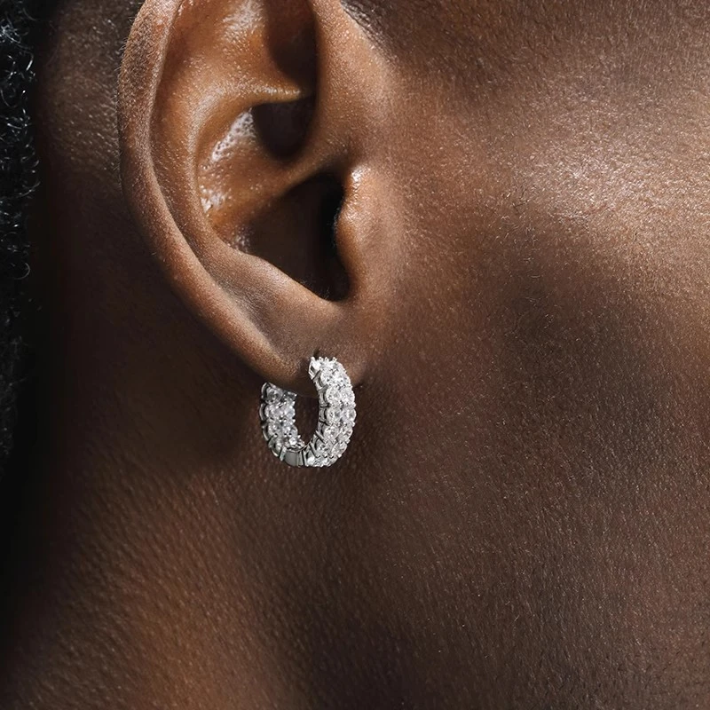 BTSP S925银针双层排钻嘻哈潮流百搭高级耳环