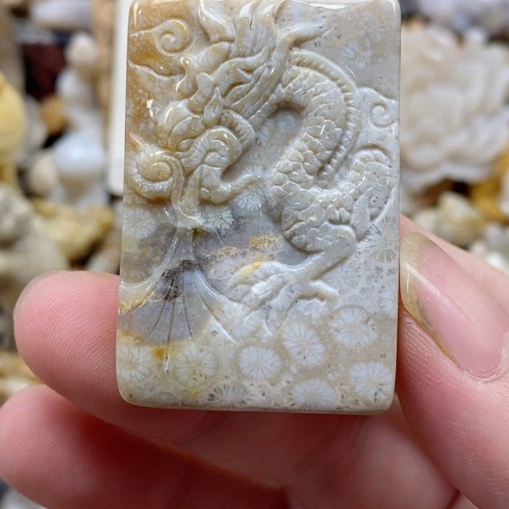 颈饰未镶嵌硅化珊瑚（珊瑚玉）