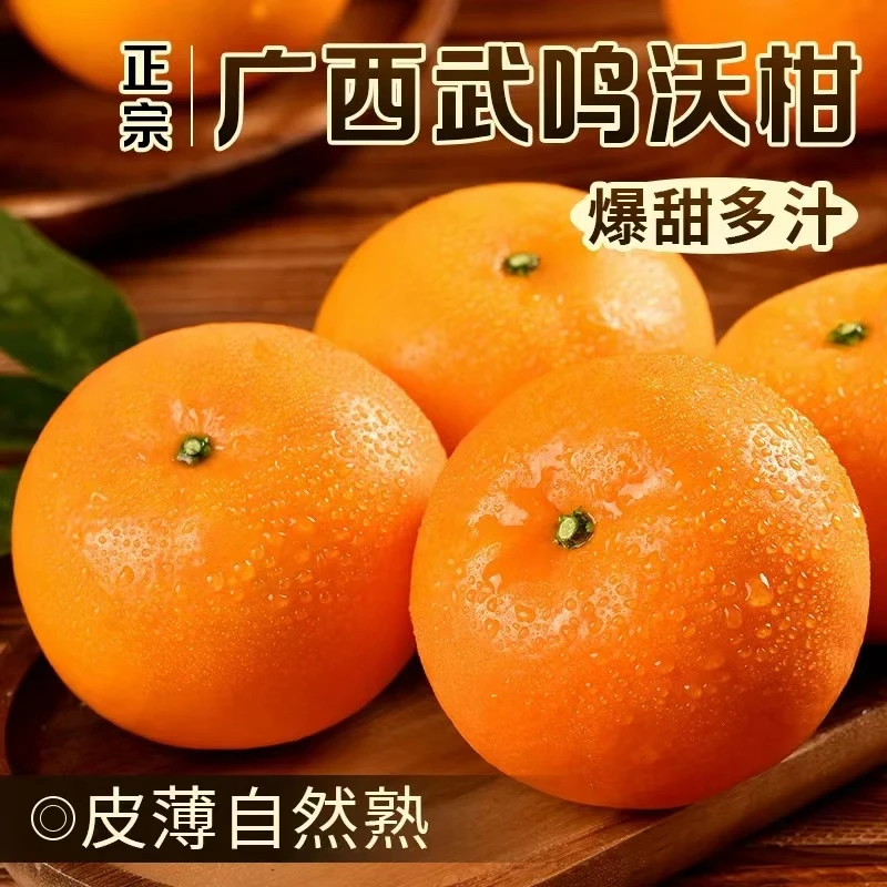 【产地直发】正宗广西武鸣沃柑新鲜柑橘应季水果5斤装大果坏果包赔