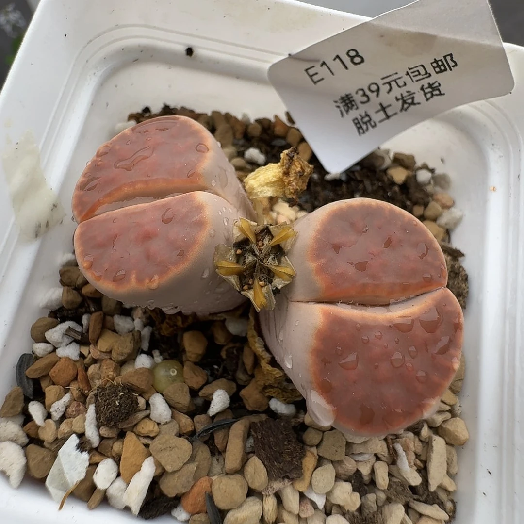 118哈哈哈哈哈哈哈哈哈哈