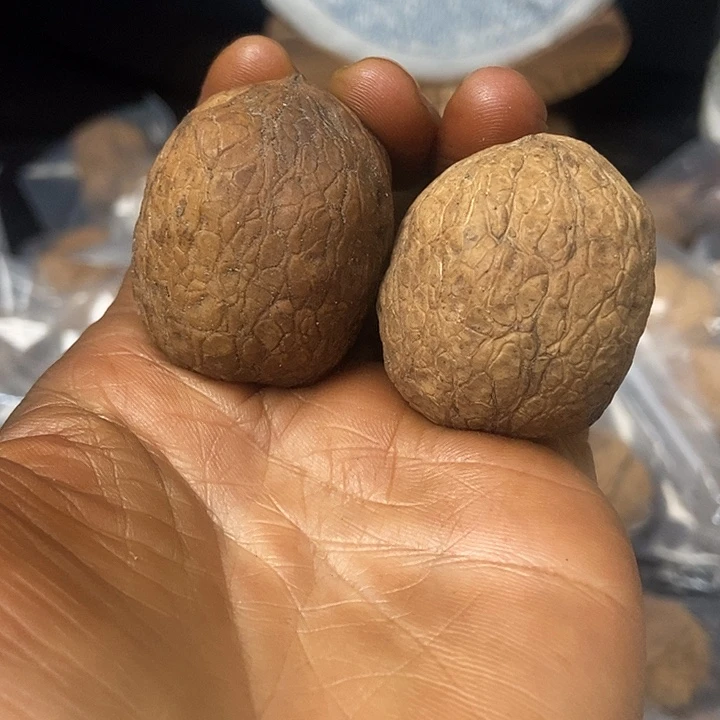 把件文玩核桃云南铁核桃基地70