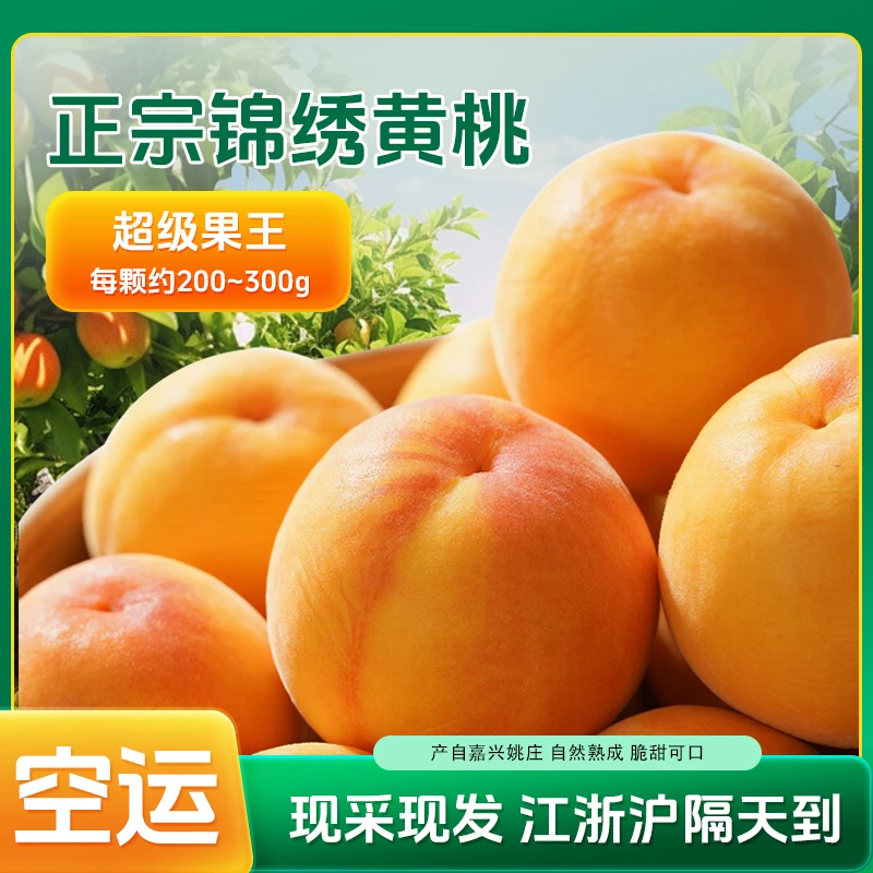 【空运送到家】嘉善姚庄新鲜锦绣大黄桃应季水果爆甜现摘现发