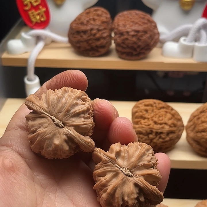 把件桃核?***斯白狮子角白42