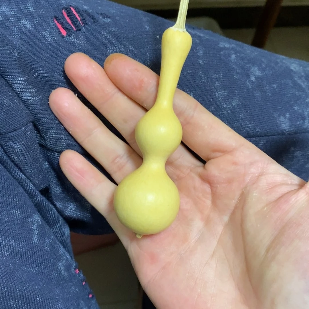 水***孙葫芦啊啊啊啊啊啊啊啊啊