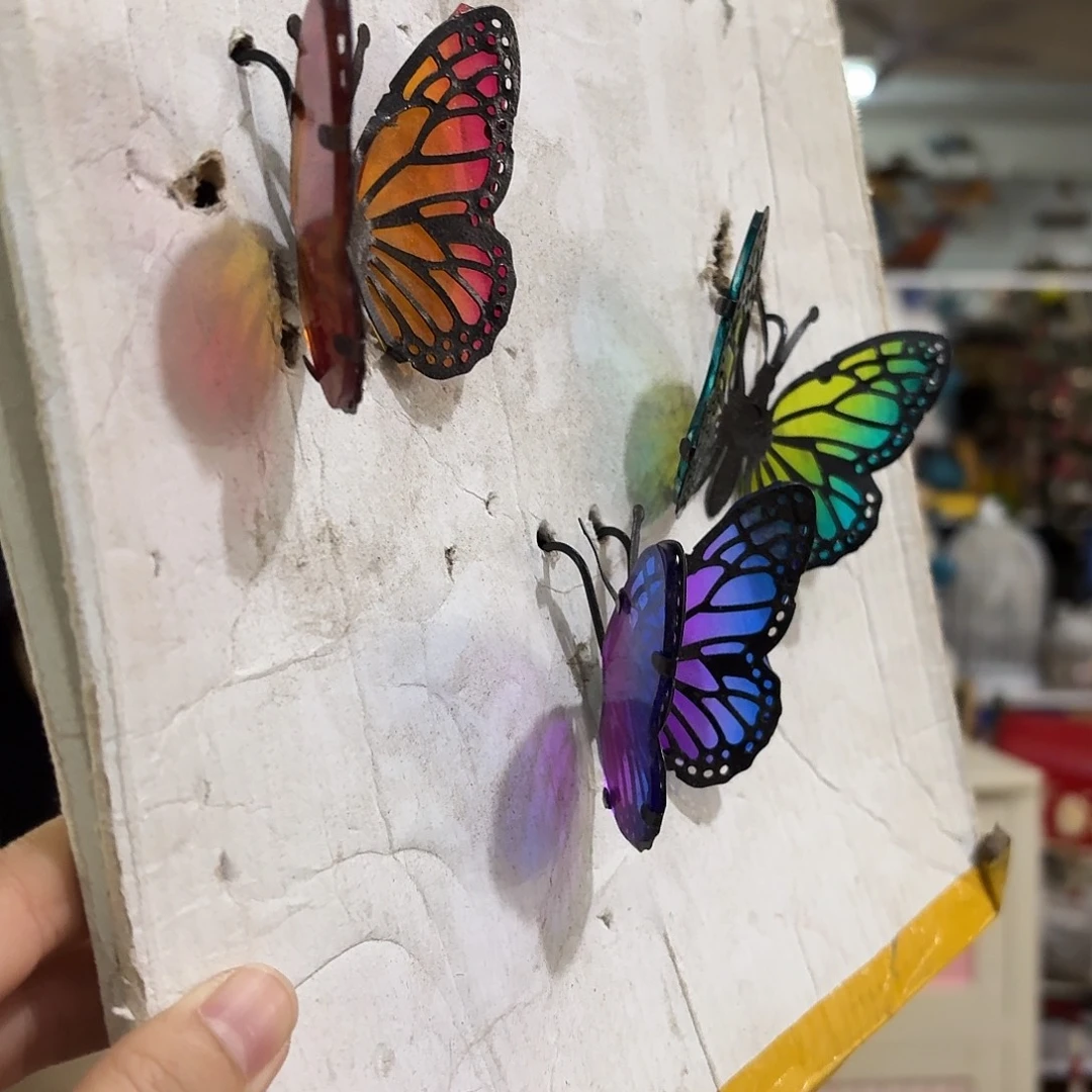 核桃木/黑胡桃（胡桃木）