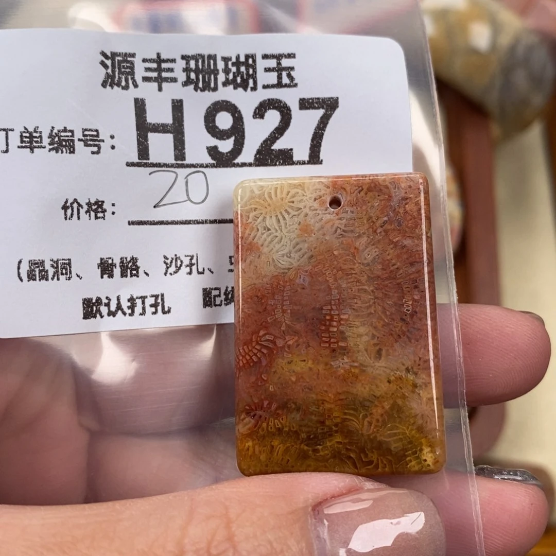 硅化玉颈饰未镶嵌小***画