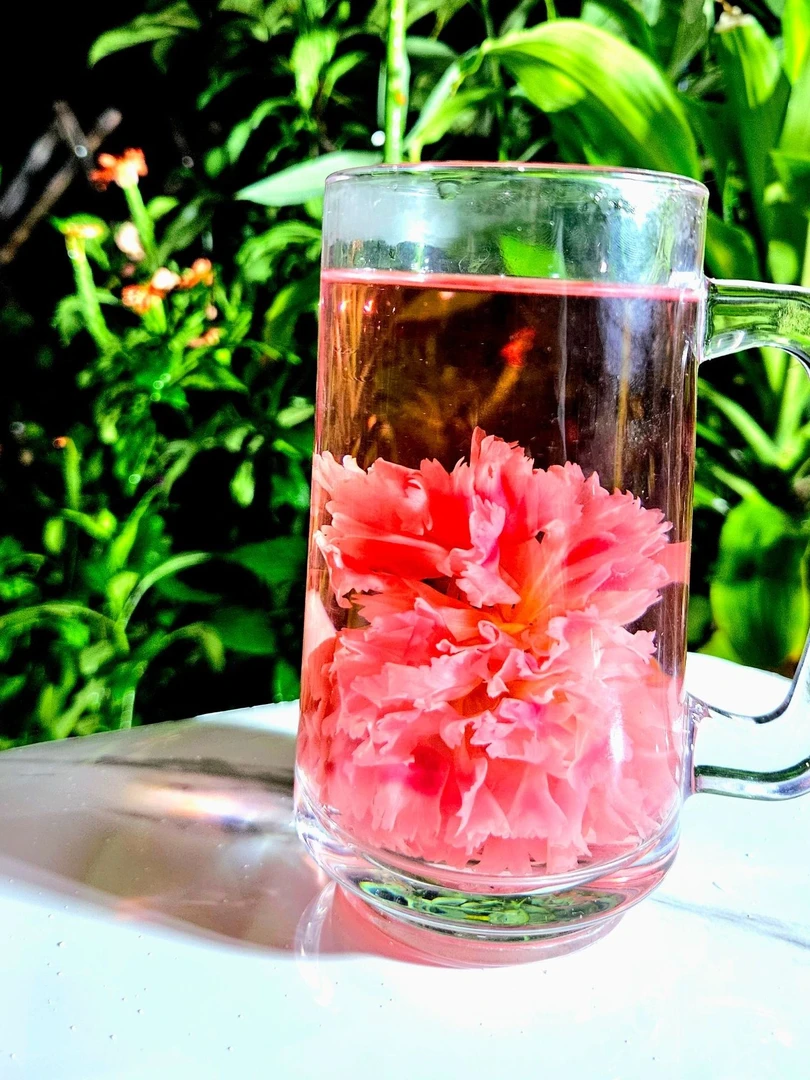 缅甸高山九转黄精灵