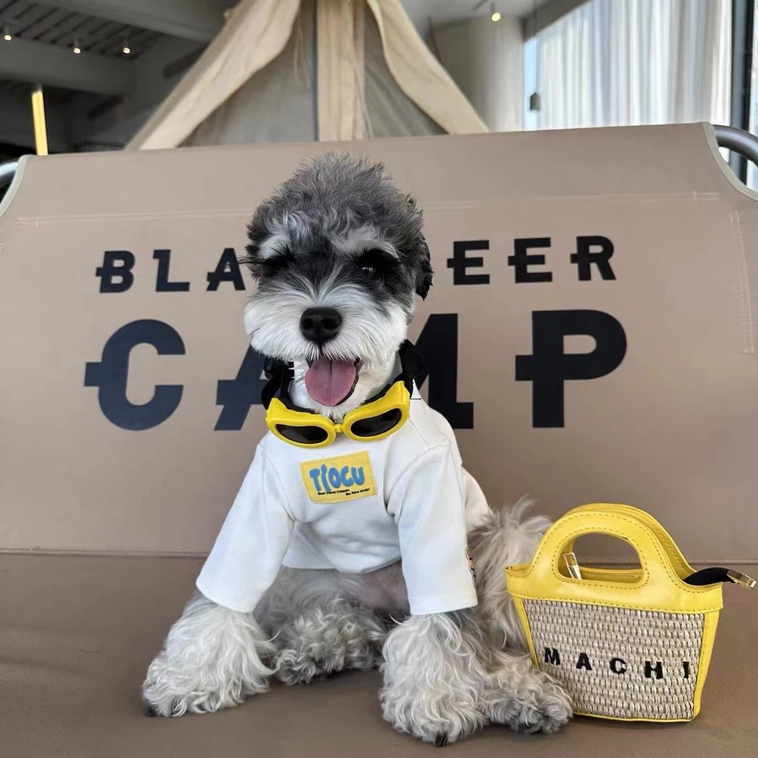 小狗冬装韩系狗狗打底衫猫咪衣服秋冬保暖雪纳瑞比熊泰迪马尔外出