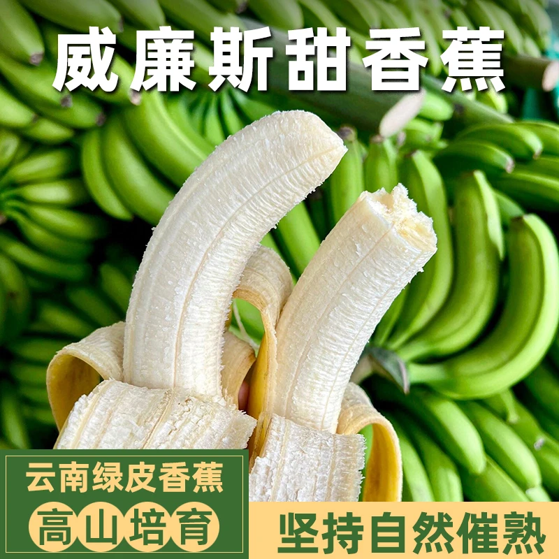 云南威廉斯甜香蕉 当季高山芭蕉甜蕉每日新鲜采摘产地直发