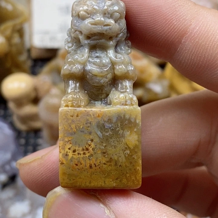 颈饰未镶嵌硅化珊瑚（珊瑚玉）
