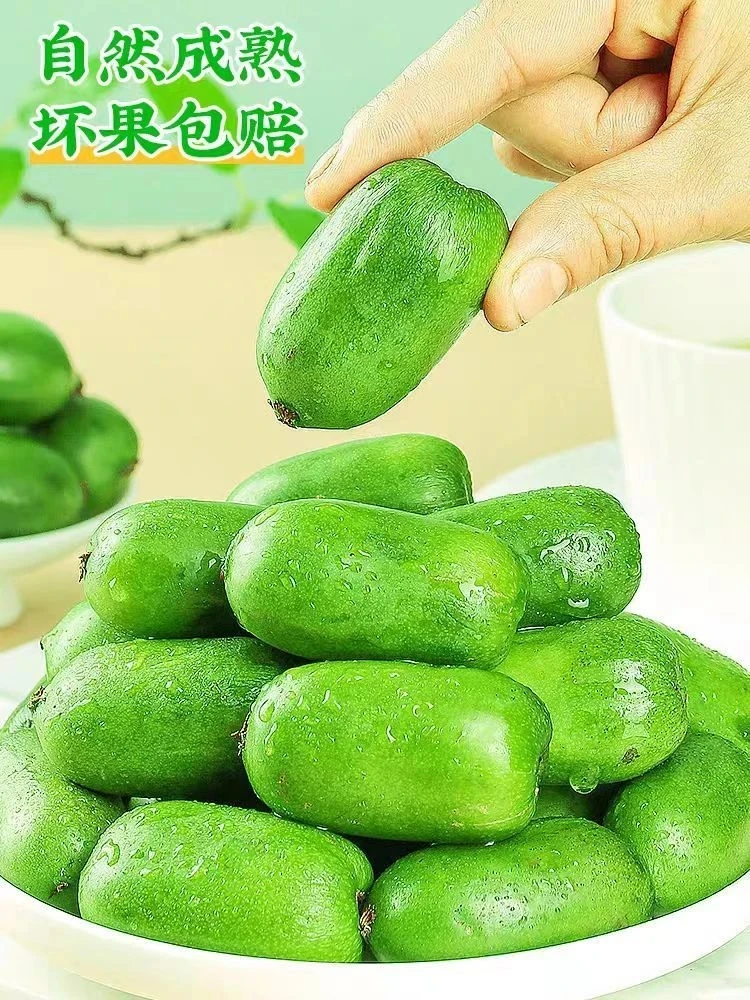 丹东软枣猕猴桃奇异果现摘现发40—45个