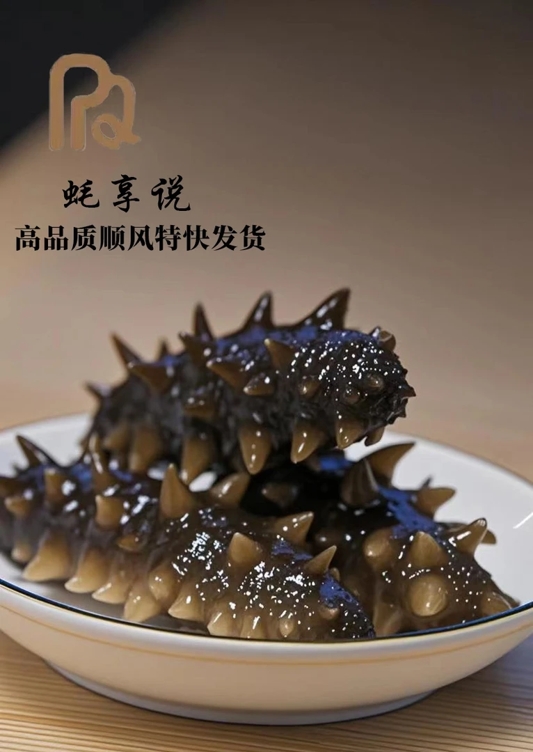 蚝享说【大连鲜食海参】大连直发即食鲜食海参8-10头辽刺参