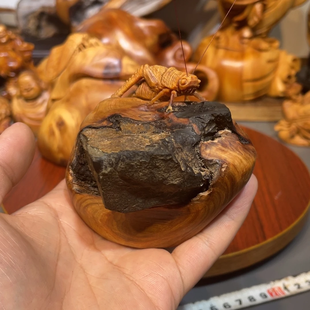 柏木（崖柏）我****光精品课程