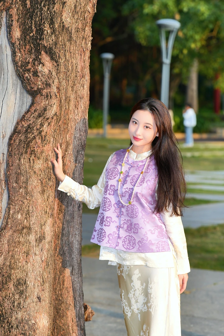 蓝大【韶华】桑蚕丝对襟双层马甲民族风紫色绣花立领网红复古6047