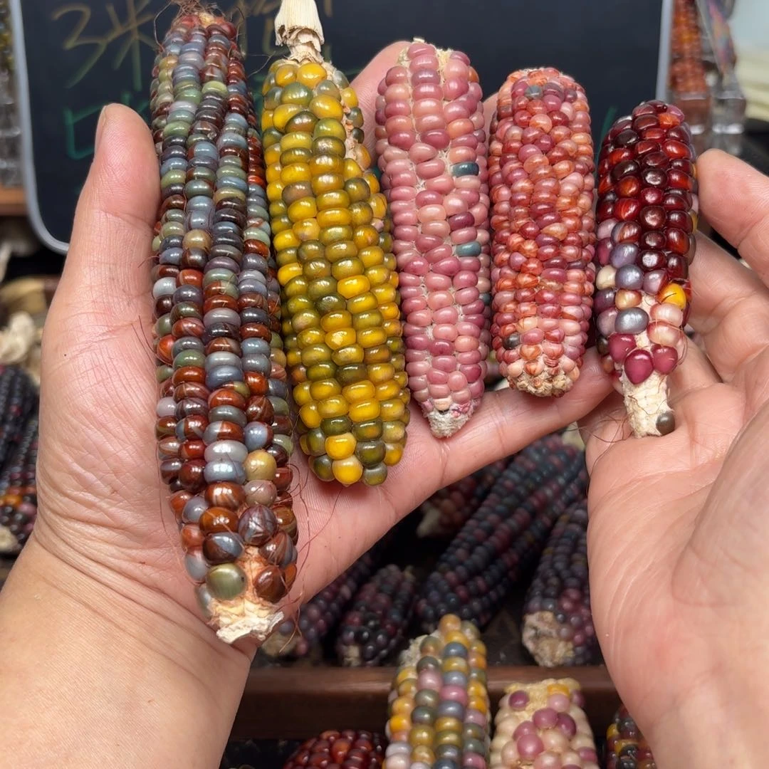 柏香籽/百香籽吊坠一****.