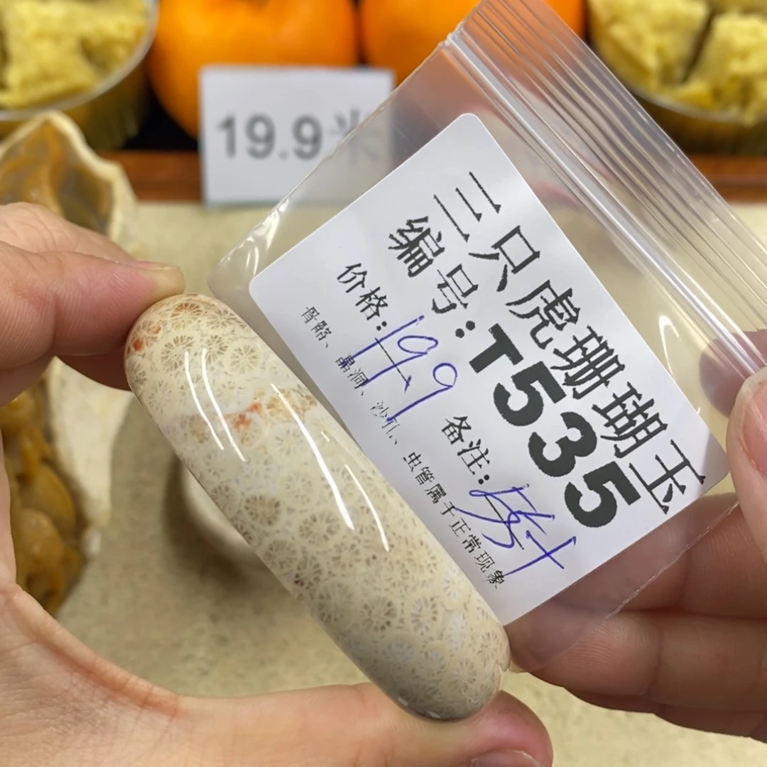 硅化珊瑚（珊瑚玉）1未镶嵌东*