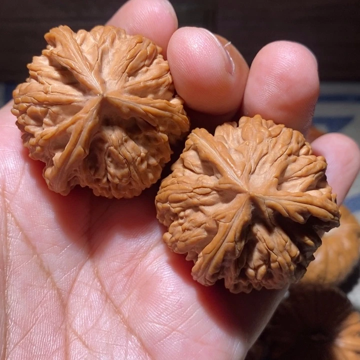 把件文玩核桃42粗筋御龙球奔