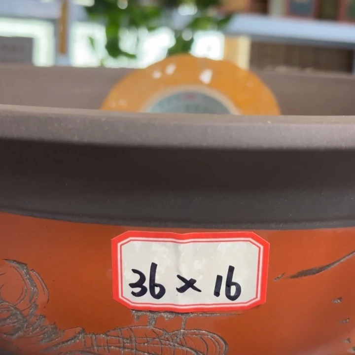 紫砂花盆120-4。