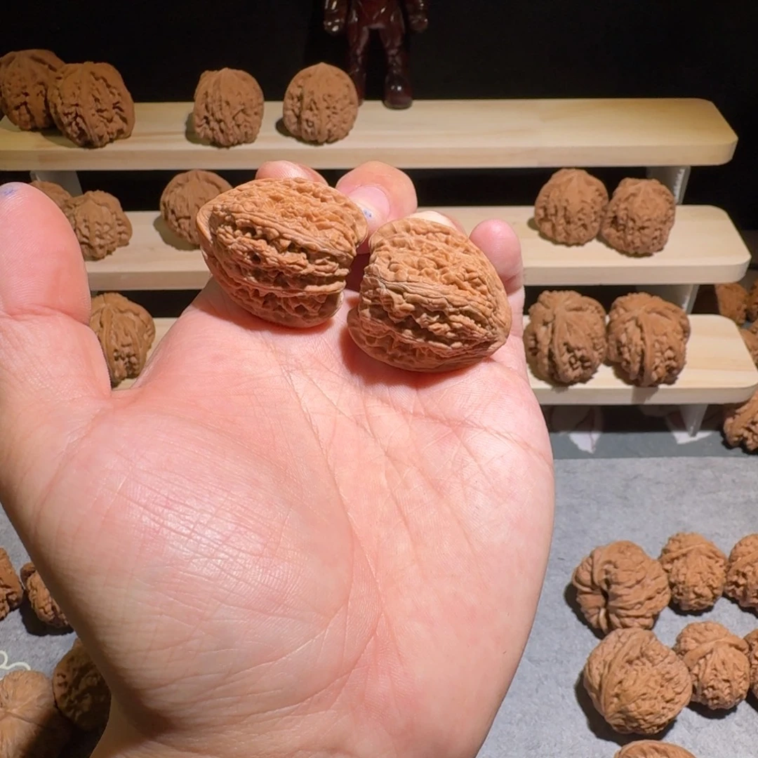 大叶紫檀（黑酸枝木类）