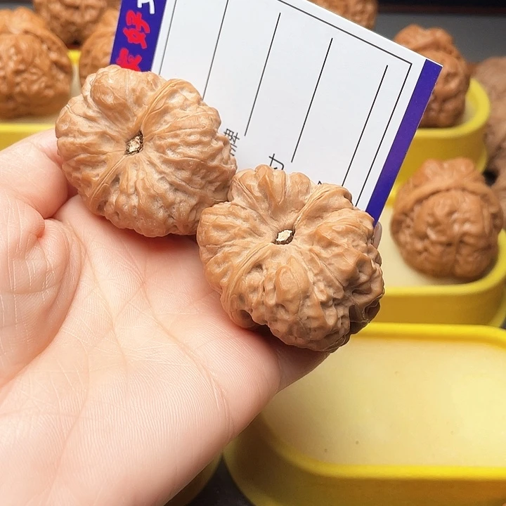 木质类無**我蛤蟆头蛤蟆