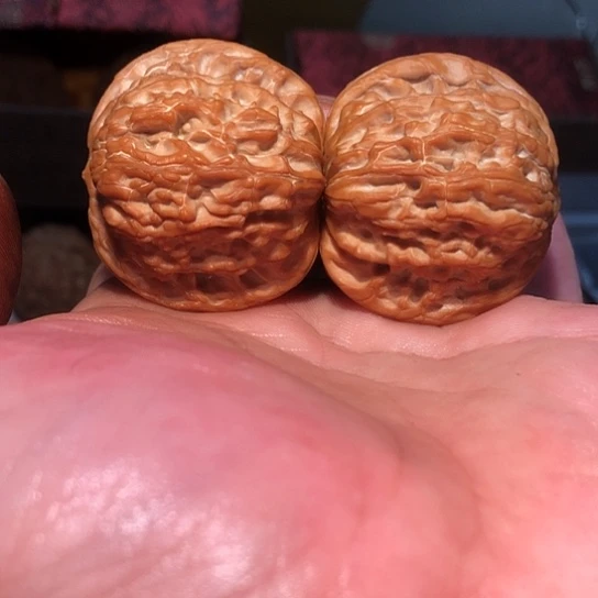 用***6有机玻璃40精准磨盘