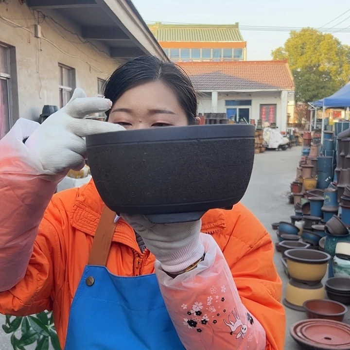 花盆花盆花盆花盆花盆花盆花盆