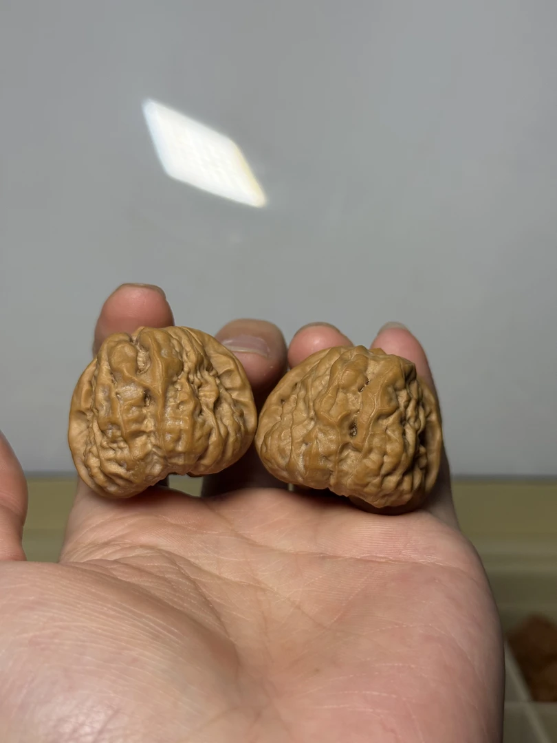 拍品文玩核桃37蛤蟆头精对延庆老树手把玩件野生收藏级