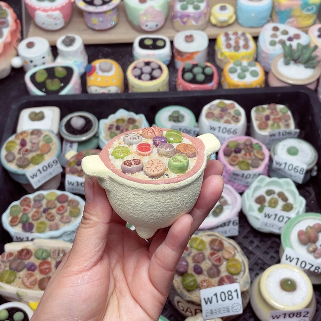 w1087 -零下地区拍保温箱-15支持寄养