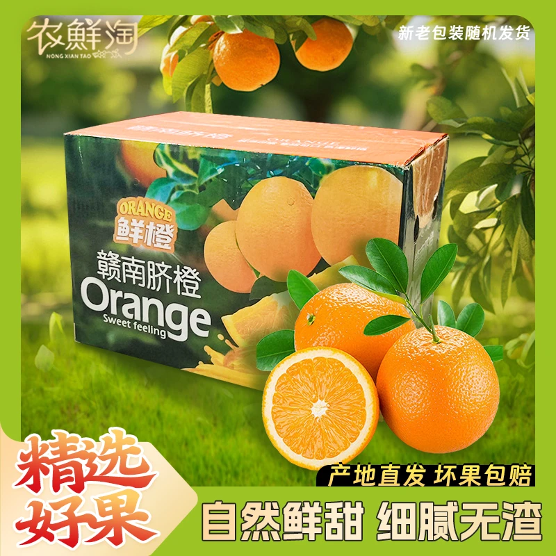 正宗江西赣南脐橙5斤装应季生鲜水果新鲜采摘自然熟产地直发包邮