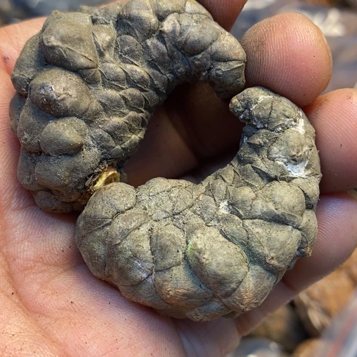 桃核吊坠娜姐我真的108