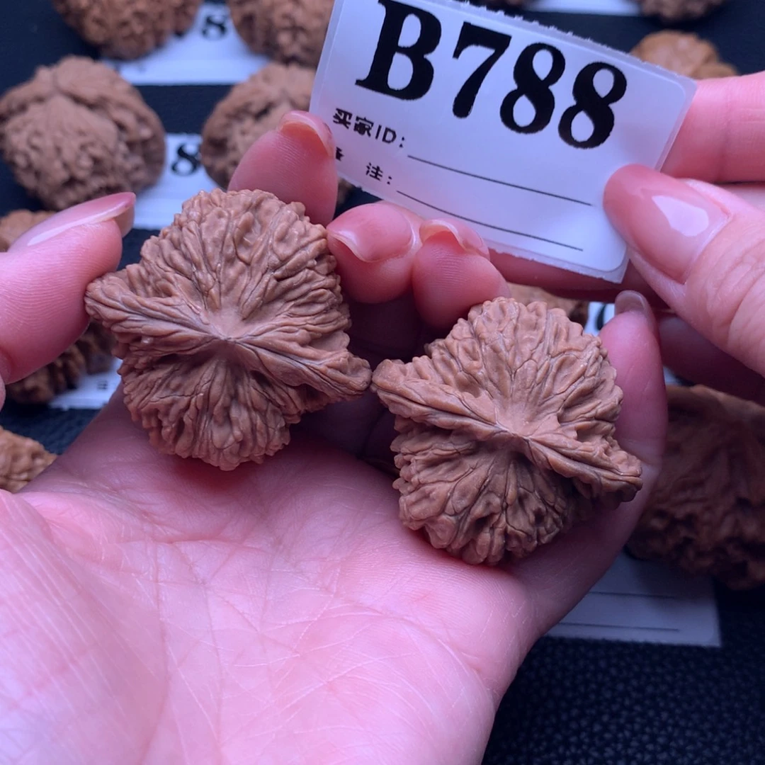 核桃788链接41尺全