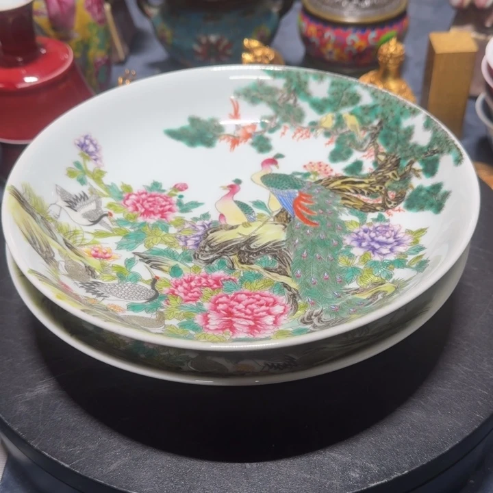 又***了瓷片盘子6666666666