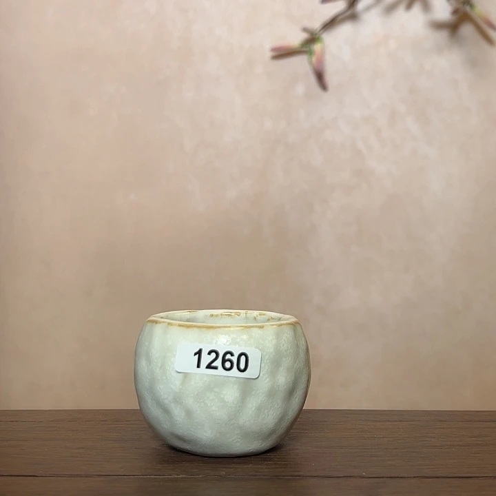 ****粒缸126000000000000